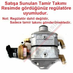 Landirenzo Sıralı Sistem Turbo Beyin Regülatör Tamir Takımı Köşeli